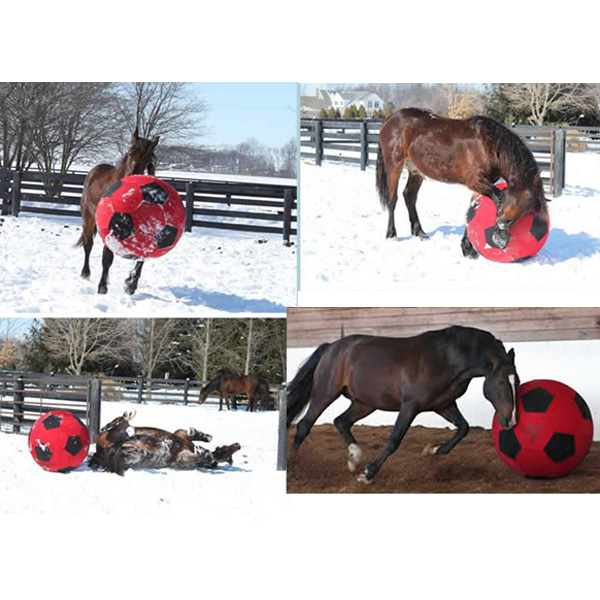 Horse Play ball