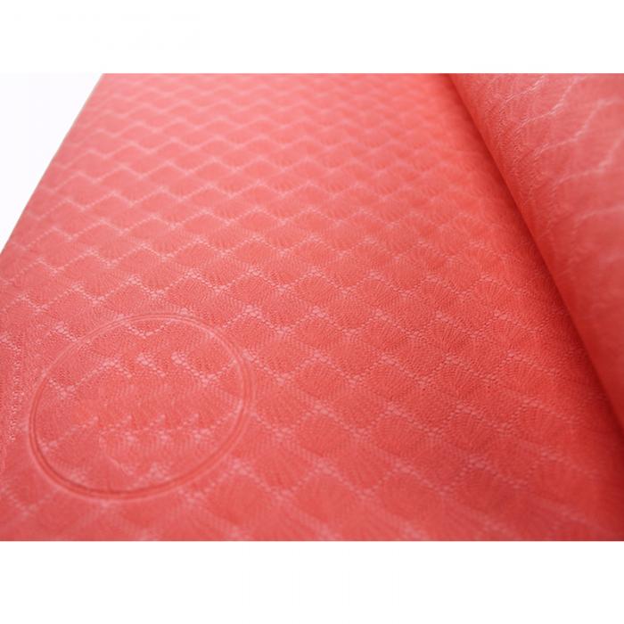 2-TONE TPE YOGA MAT S2.S