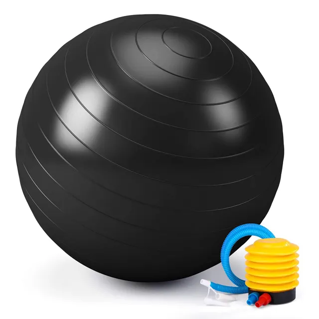 Exercise Ball for Workouts, Anti-Burst and Slip Resistant, Swiss Yoga Ball